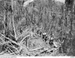 BOUGAINVILLE ISLAND. 1944-12-30. TROOPS OF D COMPANY, 25TH INFANTRY BATTALION MOVING ALONG THE TRACK BETWEEN ARTILLERY HILL AND LITTLE GEORGE HILL DURING THE AUSTRALIAN ATTACK ON JAPANESE POSITIONS ..