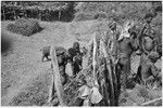 Distribution of wild pig meat: woman and children outside of fence waiting for pork