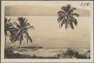 Sea view with palms, Samarai, Papua New Guinea, probably 1916