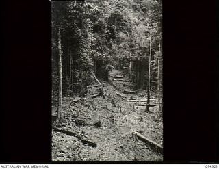 Bulldog-Wau Road, New Guinea. 1943-07-14. Road clearing at the twenty three mile point known as Mokka's Roost. Mokkas were small mites of the scabies family that burrowed under the soldiers' skin ..