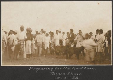 The Goat Race, Tavua Show, Fiji, May 1928