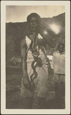 Snakes at Lalati, Beqa Island, May 1929