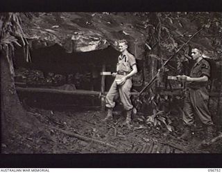 SALAMAUA AREA, NEW GUINEA. 1943-07-22. VX53995 LANCE CORPORAL J. L. BRITNELL (LEFT) AND SX2097 PRIVATE E. C. CATLIN OF THE 2/2ND AUSTRALIAN FIELD AMBULANCE TAKING THE EVENING MEAL TO PATIENTS IN ..