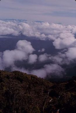 [Landscape of Mount Piora in Papua New Guinea]