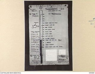 LAE AREA, NEW GUINEA, 1945-08-03. A "PIDGIN" ENGLISH CHART USED FOR THE INSTRUCTION OF NATIVE REGIMENTAL AID POST ORDERLIES. THE PHOTOGRAPH WAS MADE AT THE REQUEST OF HEADQUARTERS AUSTRALIAN NEW ..