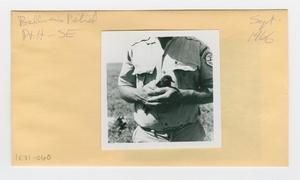 [Bulwer's Petrel in Hawaii, envelope IE31-060]