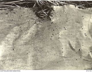 FORTIFICATION POINT, NEW GUINEA. 1944-04-06. THE REAR VIEW OF SPLINTERED SISALKRAFT TEST PAPER POSITIONED 20 INCHES BEHIND ARMOUR PLATING INDICATING THE EFFECT OF A CAPTURED JAPANESE 75MM ..