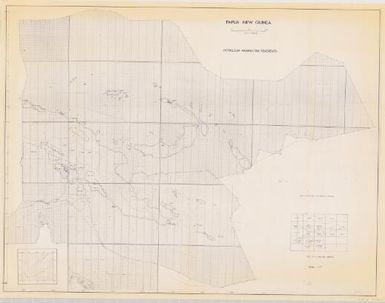 Papua New Guinea petroleum prospecting tenements (map)