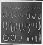 Early one-piece pearl-shell fishhooks from the early and intermediate stages with the exceptionof F5-54, and also harpoon spear points of pearl-shell from the same period with shadow. Top row-F5-54, 5-1, 4-23, 2-38, 4-48, 3-26, 4-3, 3-10, 4-29, 4-43, 4-61; second row-F5-48, 5-59, 4-31, 4-55, 4-78, 3-49, 3-20, 5-37, 5-75, 5-42, 5-57; third row-F4-75, 2-55, 3-23, 2-47, 3-57, 2-72, 3-11, 2-48, 5-68, 3-2, 2-17, 2-69, 5-60, 4-40; bottom row- G2-10, 3-16, 1-33, 1-28, F5-29, 3-41, 5-38, F4-62, 3-65, 3-61