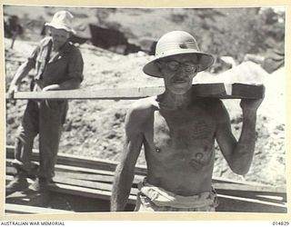 1943-05-10. NEW GUINEA. THIS PHOTO, ONE OF THE FIRST TAKEN OF THE MEN WORKING IN THE WAR ZONE, IS OF G. ASKEW 60, OF PADDINGTON, N.S.W. ASKEW WAS IN THE MERCHANT MARINES IN THE LAST WAR. (NEGATIVE ..