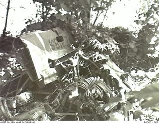 NEW BRITAIN, 1945-09. REMAINS OF THE REAR FUSELAGE OF CRASHED RNZAF CURTISS P40 KITTYHAWK NZ3186 IN THE RABAUL/GAZELLE PENINSULA AREA. (RNZAF OFFICIAL PHOTOGRAPH.)