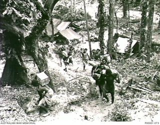THE SOLOMON ISLANDS, 1945-03-27. A LINE OF NATIVE CARRIERS CLIMBING OUT FROM AN ALLIED CAMP ON THE NUMA NUMA TRAIL ON BOUGAINVILLE ISLAND. (RNZAF OFFICIAL PHOTOGRAPH.)