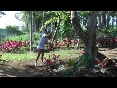 "Kula Lavender" by Maui High School | HIKI NŌ 101 | PBS HAWAIʻI