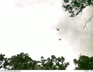 THE SOLOMON ISLANDS, 1945-04-24/27. TWO RNZAF CORSAIR AIRCRAFT OVER BOUGAINVILLE ISLAND. (RNZAF OFFICIAL PHOTOGRAPH.)