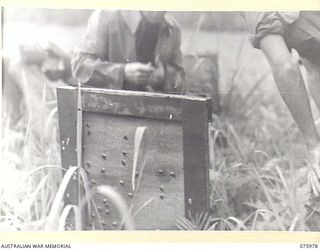 LAE, NEW GUINEA. 1944-09-13. TROOPS OF HEADQUARTERS, 19TH INFANTRY BATTALION CHECKING THE TARGET AFTER TESTING THE STANDARD BREN AND THE NEW GUN WHICH HAS BEEN LIGHTENED AND MODIFIED FOR JUNGLE ..