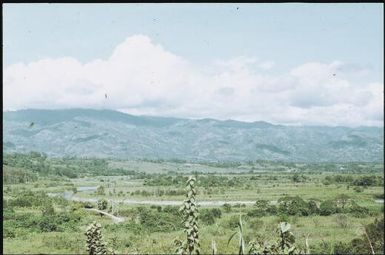 The valley floor - where once they were afraid to live (2) : Wahgi Valley, Papua New Guinea, 1970 / Terence and Margaret Spencer