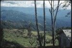 Tabibuga airstrip