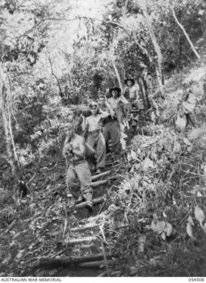 MUBO-SALAMAUA AREA, NEW GUINEA, 1943-07-21. SIGNALMAN OF THE 17TH AUSTRALIAN INFANTRY BRIGADE HEADQUARTERS AND THE 6TH AUSTRALIAN DIVISION, FORM A FOOD LINE TO CARRY THEIR SUPPLIES FROM THE ..