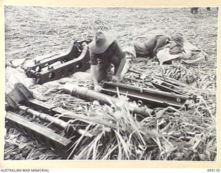 KIARIVU, NEW GUINEA, 1945-08-09. LIEUTENANT K.T. WYBURN, 2/7 INFANTRY BATTALION INSPECTING VARIOUS PARTS OF 75MM GUNS AFTER THEY HAD BEEN DROPPED BY PARACHUTES. TWO PARACHUTES WERE USED TO ENSURE ..