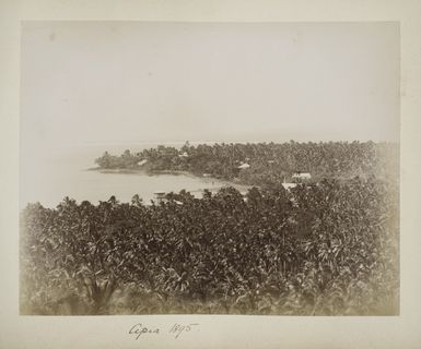 View of Apia and harbour, Samoa