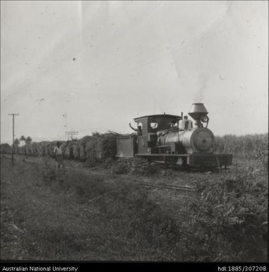 Cane train