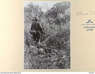 BOUGAINVILLE. 1945-05-24. A PATROL FROM D COMPANY, 26 INFANTRY BATTALION (AUSTRALIAN IMPERIAL FORCE), ON THEIR WAY TO SIARA, PASSES A JAPANESE CADAVER KILLED IN EARLIER FIGHTING