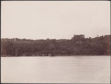 San̈lan̈ mission station at Vureas, Vanua Lava, Banks Islands, 1906 / J.W. Beattie