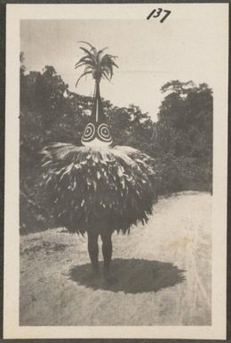 Tabuan dancer, New Britain Island, Papua New Guinea, probably 1916