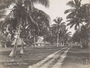 Road in Mulinu'u. From the album: Photographs of Apia, Samoa