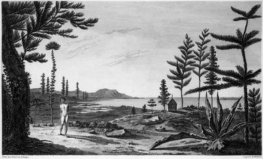 Hodges, William, 1744-1797 :View in the Island of Pines, Drawn from nature by W. Hodges. Engrav'd by W. Byrne. London, W Strahan, 1777.
