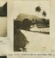 Street in Avarua, Rarotonga, 1915