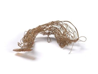 Net sample
