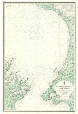 [New Zealand hydrographic charts]: New Zealand. Wellington to Patea including Cook Strait. (Sheet 46)