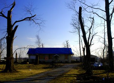 [Severe Storms and Tornadoes] Earlington, Ky, December 9, 2005 - A home with major roof damages, caused by F4 tornadoes on November 15, is framed by towering oaks completely stripped of foliage and suffering major limb loss. A federal disaster deeclaration for Individual Assistance was issued for Hopkins and Marshall counties in western Kentucky on December first. Win Henderson/FEMA photo