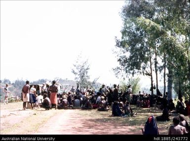 Crowd gathered near vehicles