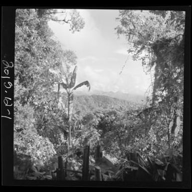 Bougainville Island