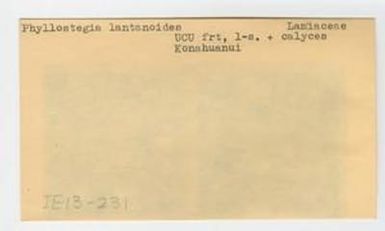 [Phyllostegia lantanoides in Hawaii, envelope IE13-231]
