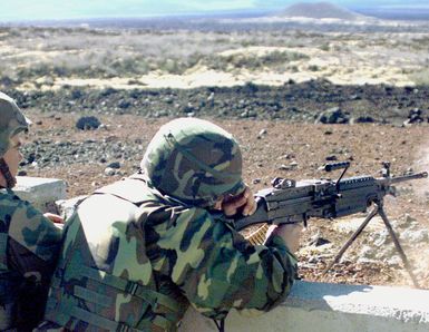 US Marine Corps Private First Class J. Heredia fires at a target with the M249 Squad Automatic Weapon and US Marine Corps Private J. Williams, PFC Heredia's Assistant GUNNER, both of whom are from the Headquarters Company of the 3rd Marine Regiment, watches his impact area. These Marines fired at a range in the Pohakuloa Training Area, Hawaii. (Substandard image)