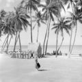 United States, hula dancers on beach in Honolulu
