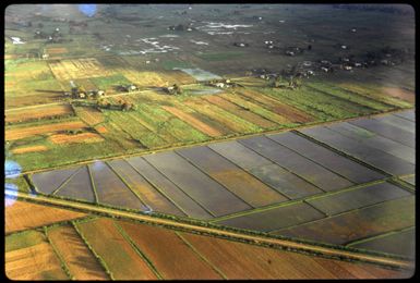 Aerial view of Fijian rice fields, 1971