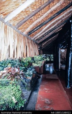 French Polynesia - Robinson House, Paea