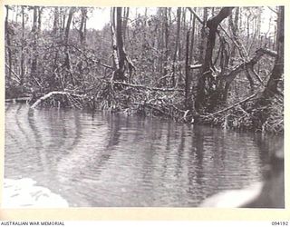 WEWAK AREA, NEW GUINEA. 1945-07-18. THE BANK OF THE URFIP CREEK VIEWED FROM A BOAT CARRYING 104 CASUALTY CLEARING STATION AND 2/22 FIELD PARK COMPANY, ROYAL AUSTRALIAN ENGINEERS, PERSONNEL. NOTE ..