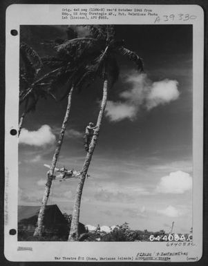 Sgt. Marvin S. Hollinger, A Linesman Who Is Stringing A Communications Wire, Stops His Work To Watch A Consolidated B-24 Liberator Of The 11Th Bomb Group, Take Off From Guam, Marianas Island, January 1945. (U.S. Air Force Number 64408AC)