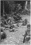 Pig festival, wig ritual, Tsembaga: boys extract pandanus oil to be rubbed on wigged men's skin