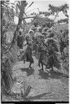 Bride price ritual: decorated men with spears charge in mock aggression, lead the groom's group into the bride's village