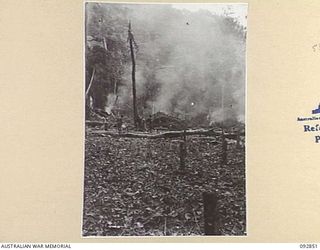 NANTAMBU, NEW BRITAIN, 1945-06. NATIVES, ANGAU DISTRICT OF NEW BRITAIN, WORKING WITH ANGAU, CLEAR A NEW AREA FOR A NATIVE LABOUR CAMP
