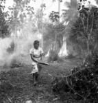 First clearing of toutu'u of Free Church of Tonga for 'ufi kahokaho in 'api of Tevita Foki (Tā-fangufangu). (Women burning brush.)