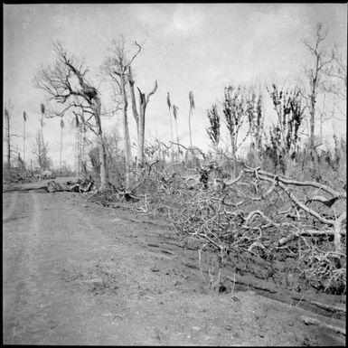 Landscape damage after volcanic eruption, Rabaul, New Guinea, 1937 / Sarah Chinnery