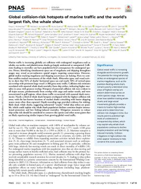 Global collision-risk Hotspots of Marine traffic and the World’s largest Fish, the Whale Shark