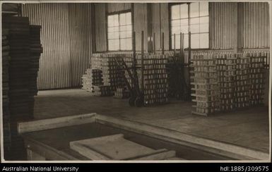 Stacks of marked cane in cooling room, Pineapple Cannery